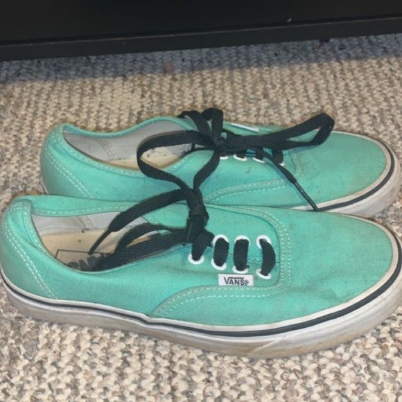 mint vans - Picture 2 of 3